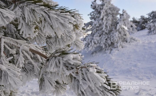 Фото: realnoevremya.ru/Галия Шакирова 