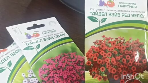 Живём в деревне🥰, Посеяла 🌸🌺🌻🌹🌷🌼💐цветы.