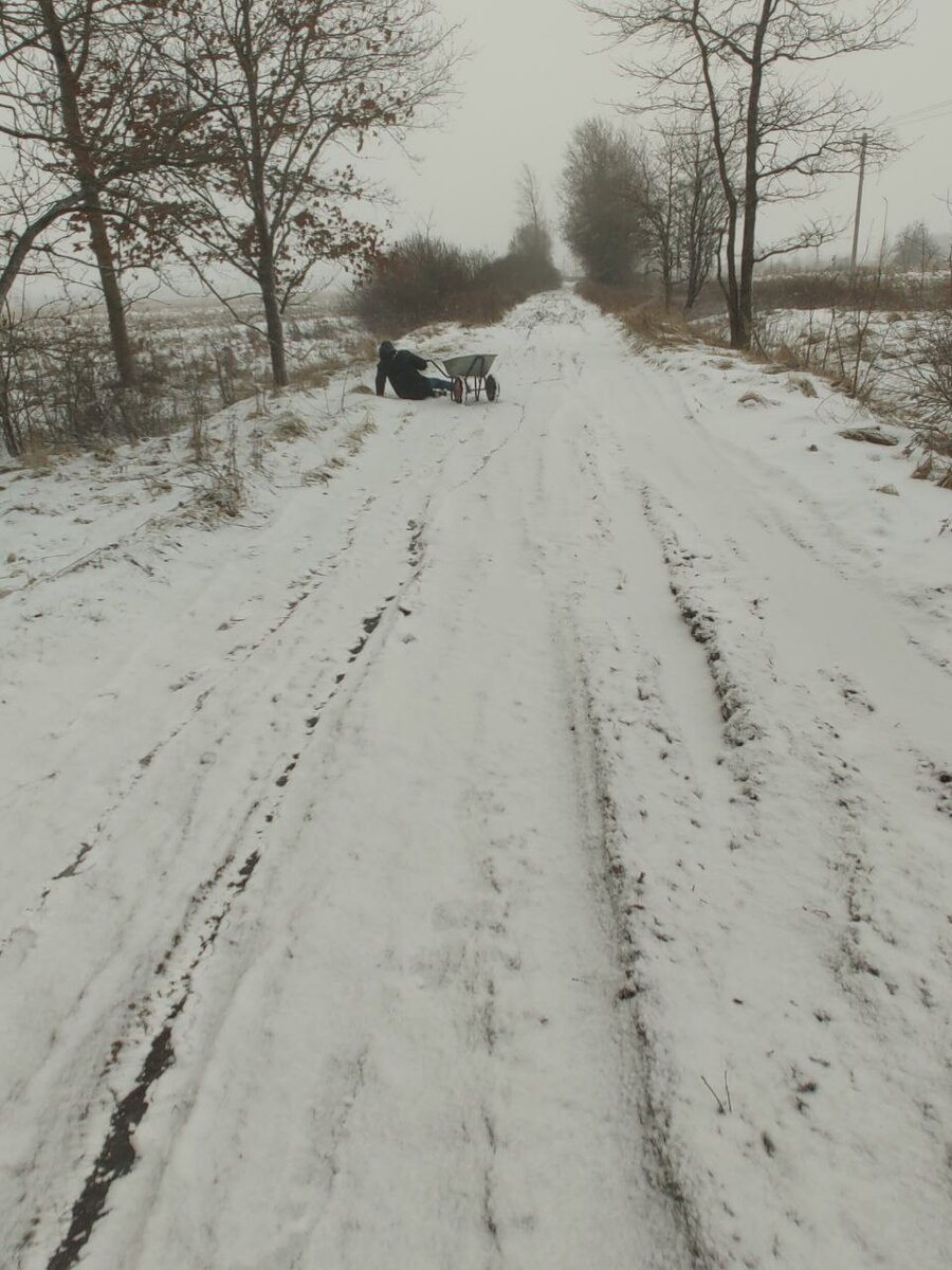 Вот так теперь выглядит доставка еды на приют.