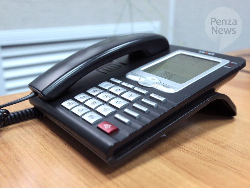    © Фото из архива ИА «PenzaNews»