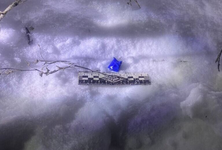    Не смогла сбыть наркотик. В Орске полицейские задержали 47-летнюю закладчицу Кристина Просвиркина