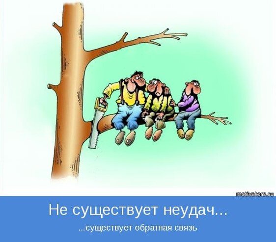 картинка из сети