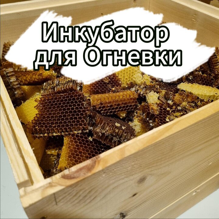 Инкубатор своими руками из холодильника | Видео - СТАТЬИ - Каталог файлов - BIZIMFERMA