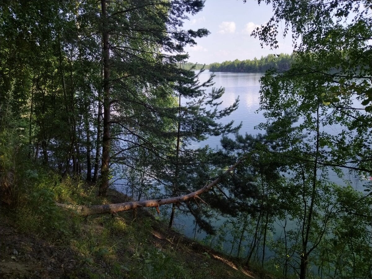 Побережье Кожинского карьера в Щёлково.  Скучаю по тёплой природе, потому постою такие фотки.снимок автора. 