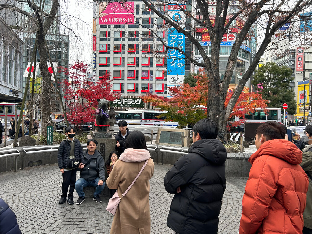 «Откуда ты о Хатико знаешь? В школе рассказывали?!» — спросил муж у сына, когда тот попросил свозить его к памятнику. «Все знают!» — ответил тот. Наш японец сильно удивился осведомленности русских детей.