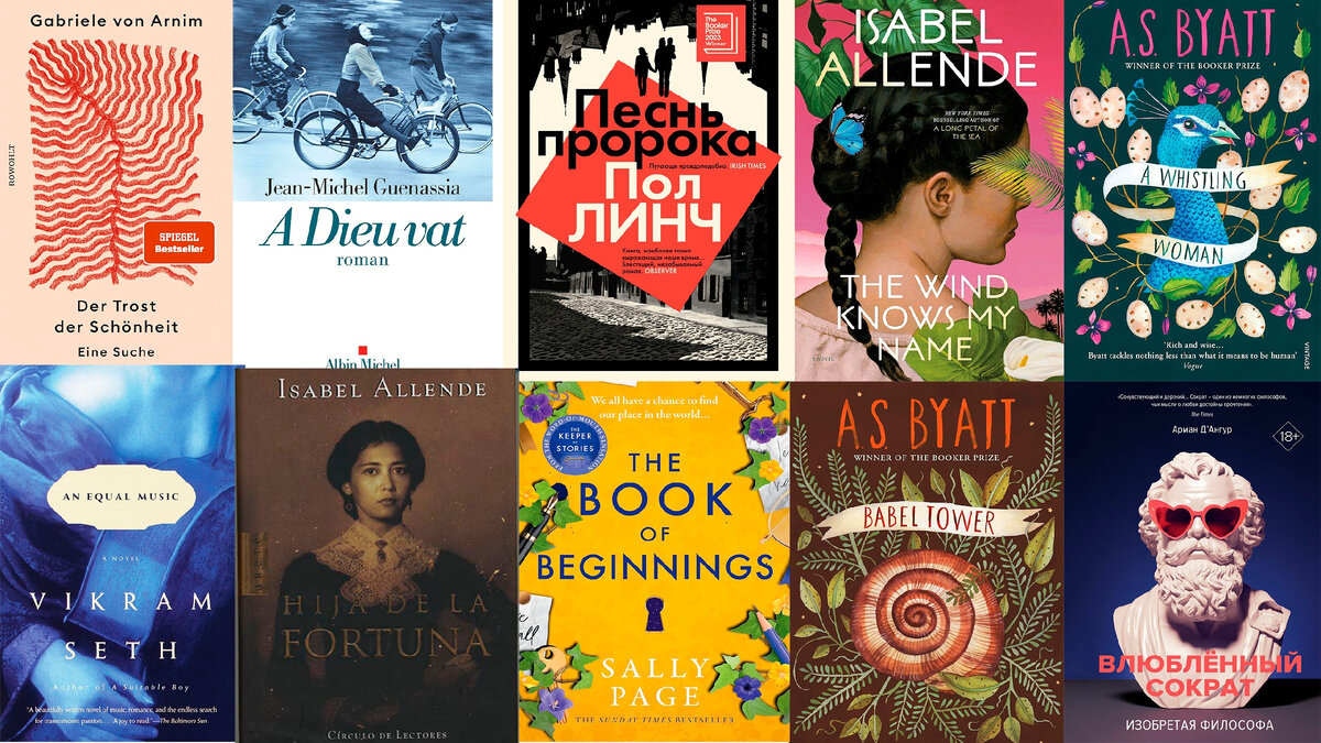 Красивые новинки. Фото автора