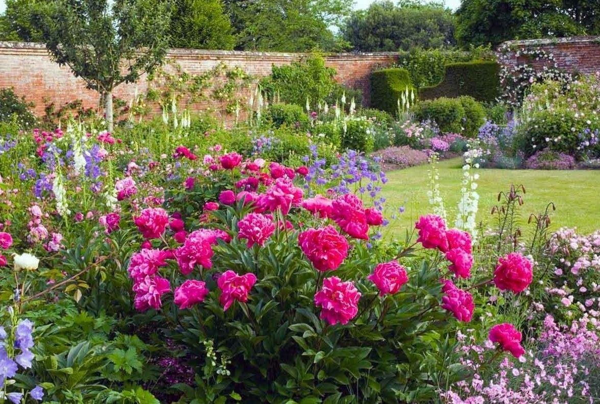 Лягушка с лазерным мечом недрочабрь. Недрочабрь что означают цвета. Недрочабрь что означают цвета. Купоны на ноябрь недрочабрь. Недрочабрь.