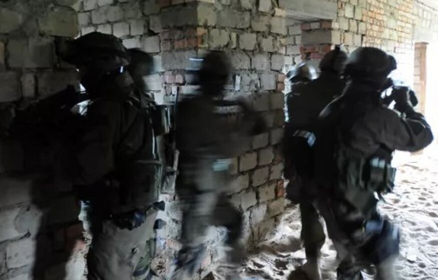    Гитлер бы одобрил: Польша готова добровольно впустить немецкую армию назло России