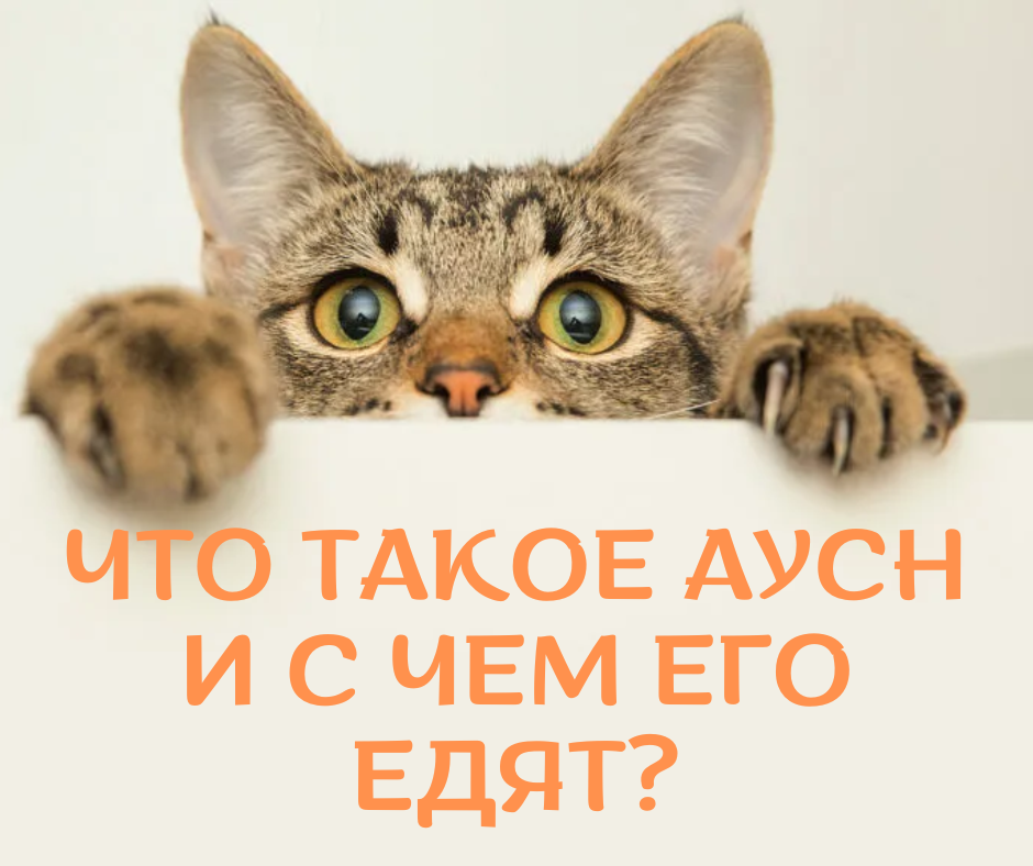 Иллюстрация Алена/СБК
