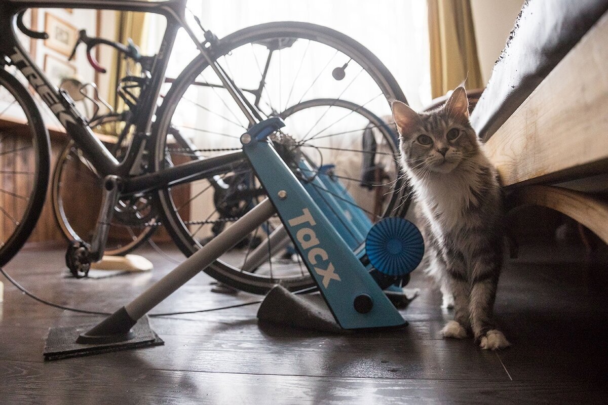 Станки-то мы поменяли, а вот кошенька Малинка замене не подлежит, ибо она есть истинная и вечная ценность