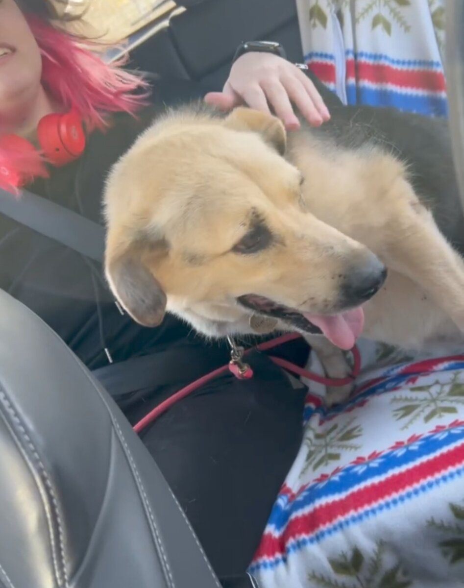 Джоди в машине в тот день