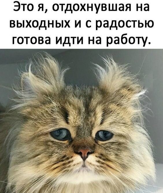 Когда болеешь не хочется есть. Когда болеешь не хочется есть