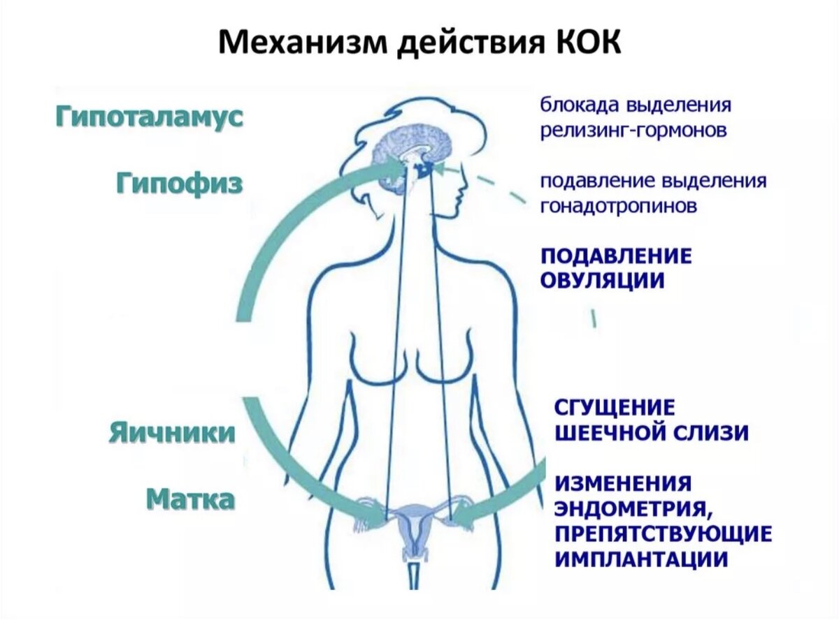 Что такое коки в медицине. Кок контрацептивы механизм действия. Механизм действия гормональных контрацептивов. Механизм действия Кок схема. Механизм действия контрацептивных средств схема.