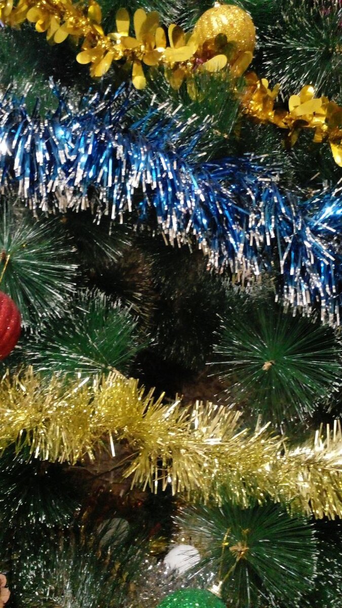 Ель символ нового года. Почему ёлка симбл нового года. Новый год презентация. Интересные факты о елке. Традиция наряжать елку на новый год.