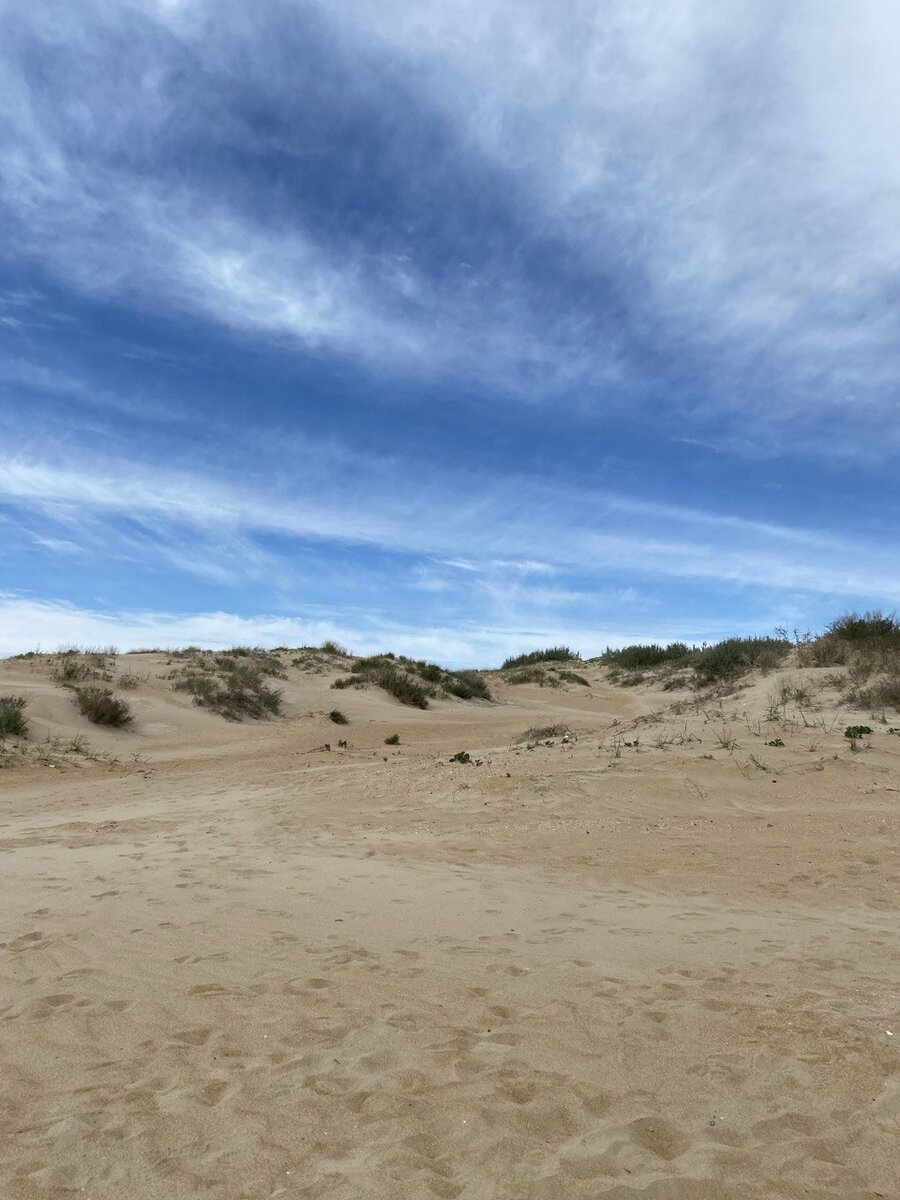 Зона рядом со стартом IRONSTAR