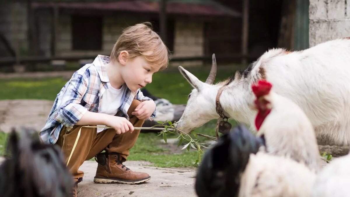     Детей в рамках школьных занятий обязательно нужно приучать к труду. Было бы неплохо школьников Ростовской области знакомить на уроках труда с сельскохозяйственной деятельностью, сообщил RostovGazeta председатель Ростовского Облпрофсоюза образования Владимир Гайворонский.