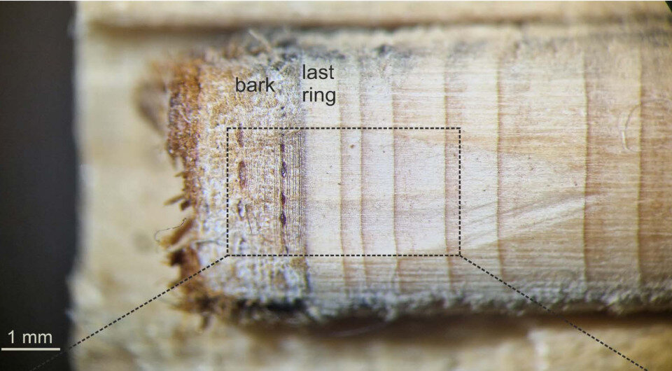   Andrej Maczkowski et al. / Research Square, 2023