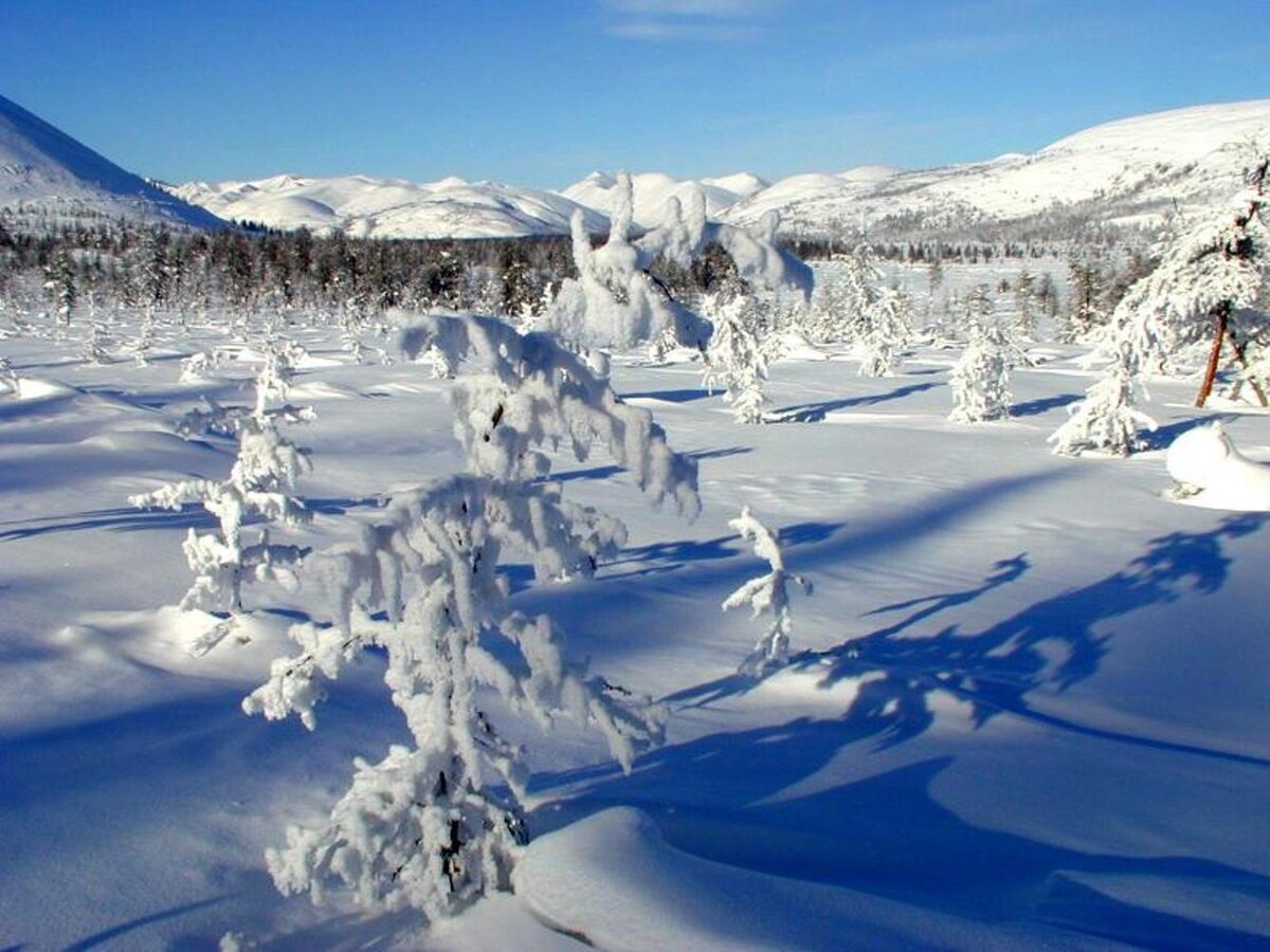 фото из свободных источников интернета