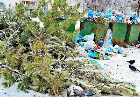 Уровень осознанности в нашей реальности почему-то обратно пропорционален развитию техногена