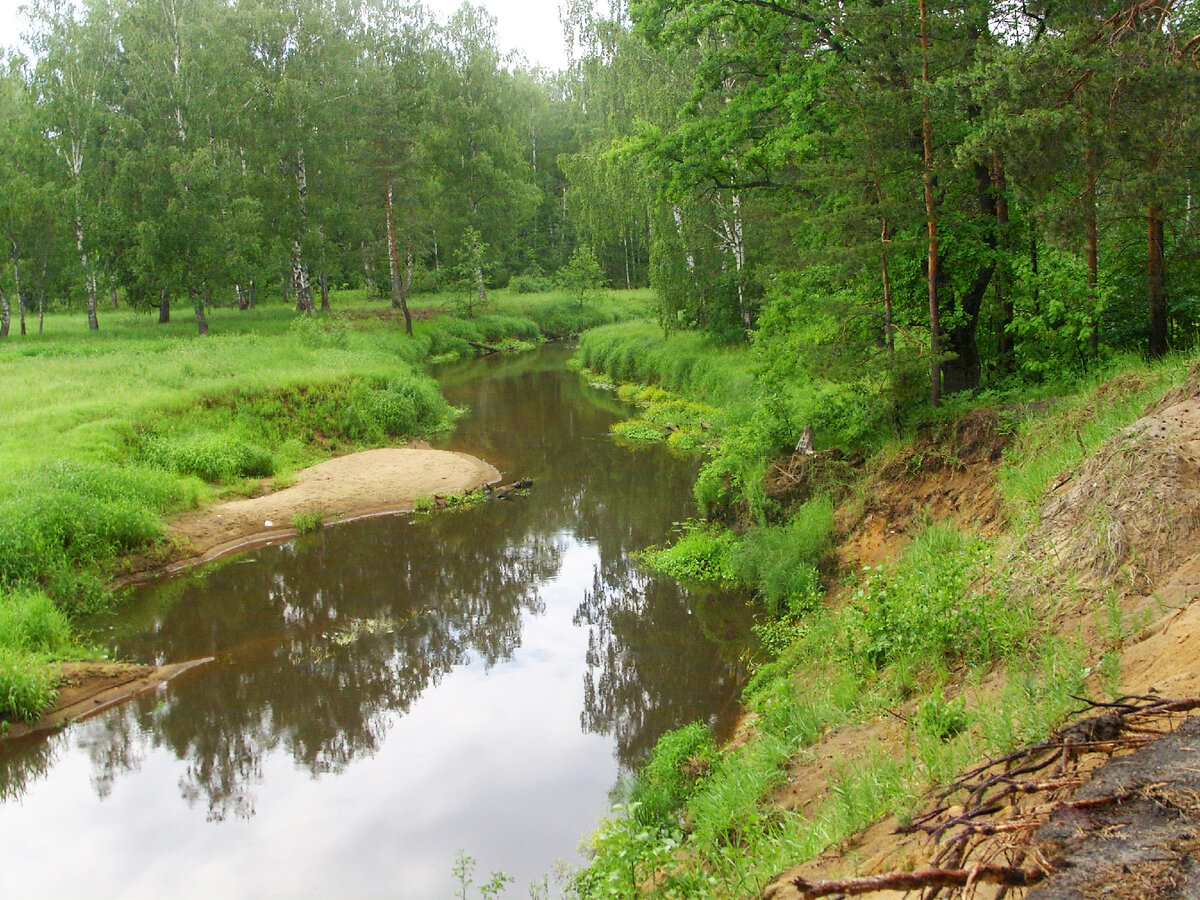Река Поля у Димьянова обрыва