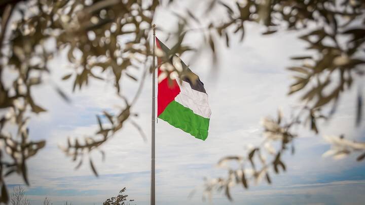  Фото: Shutterstock