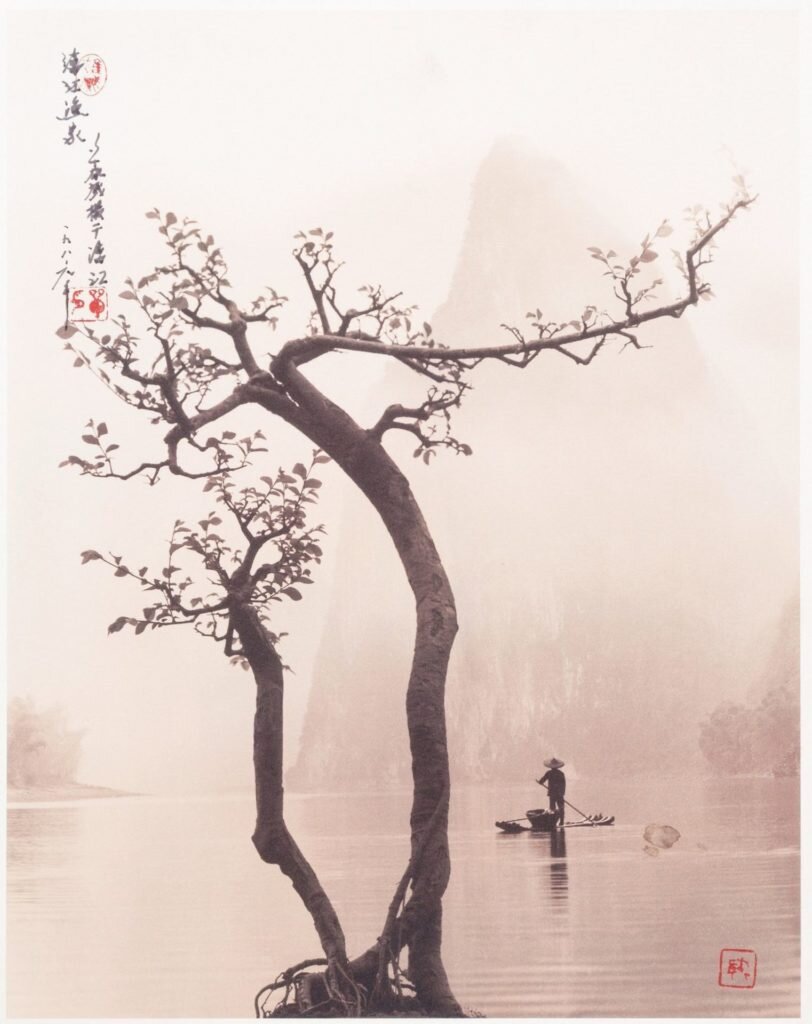     фото: Don Hong-Oai