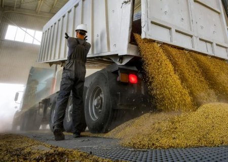    Страны Евросоюза намерены ввести пошлины на украинскую сельхозпродукцию