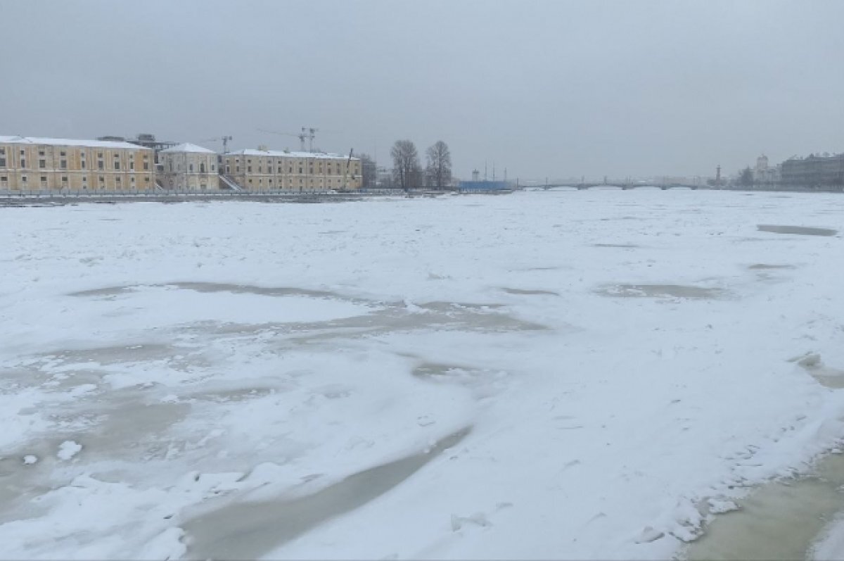    Жители деревни под Орлом вынуждены переходить реку вброд