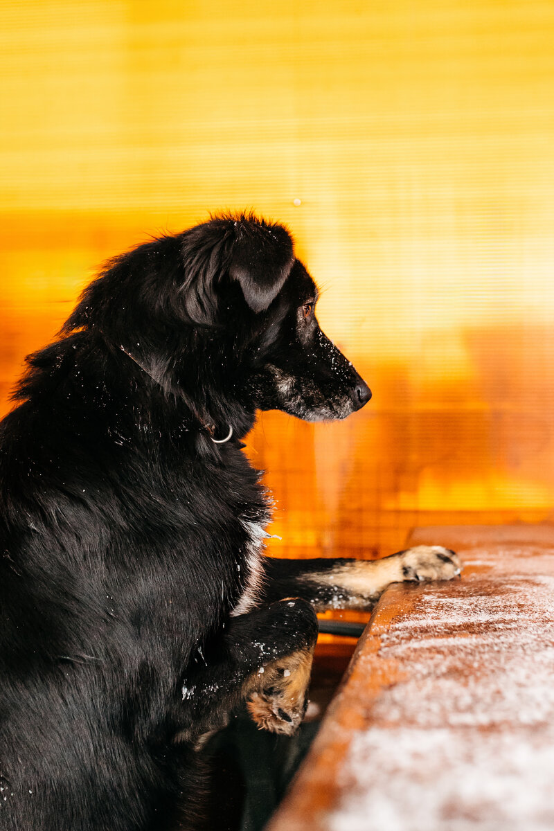 Мася со мной полностью согласна)