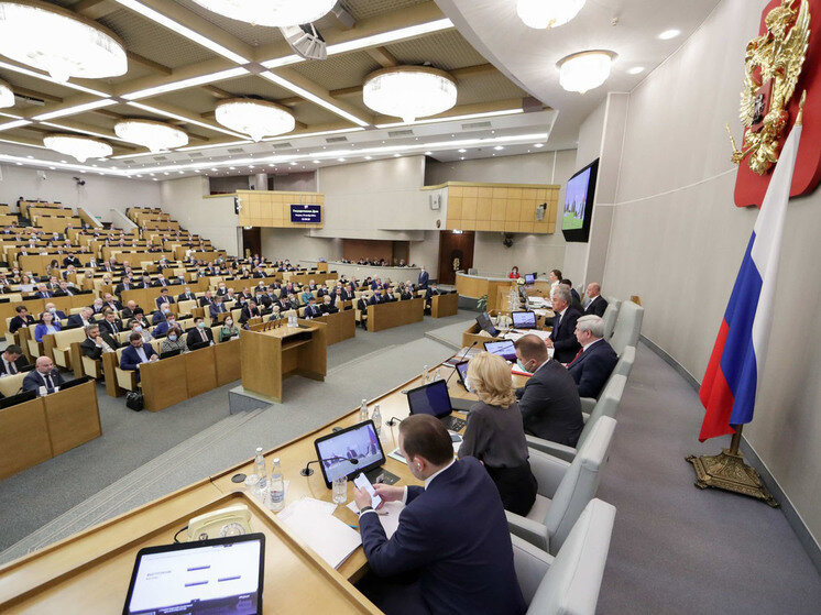     Фото: duma.gov.ru