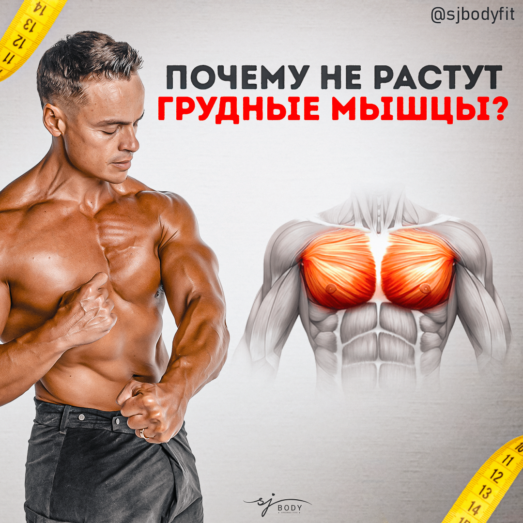 Почему не растут грудные мышцы? | Sjbody | Твой фитнес-тренер! | Дзен