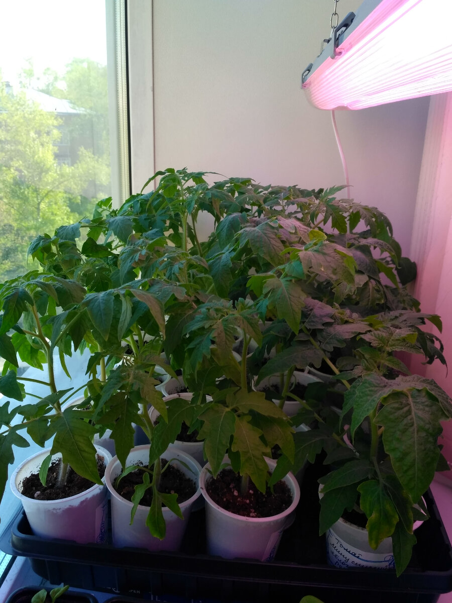 В статье использованы фото автора