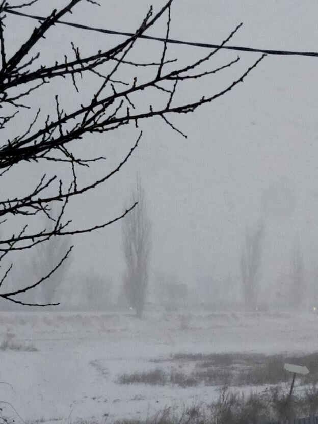 Собственное фото автора от 8 января 2024 г. Вид из окна.