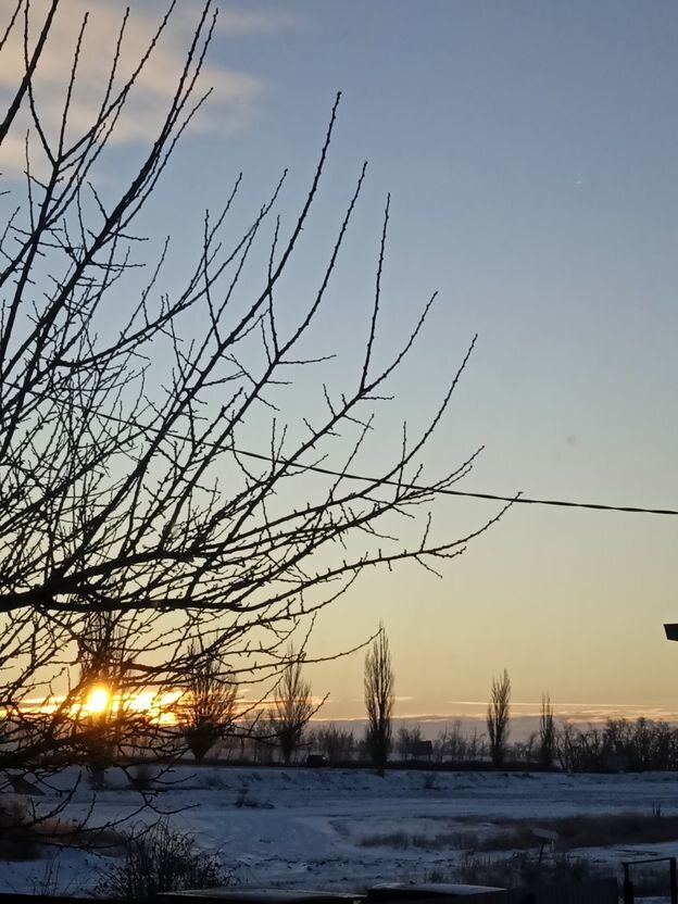 Собственное фото автора от 10 января 2024 г.  За окном - солнце встаёт. За окном - 8 мороза