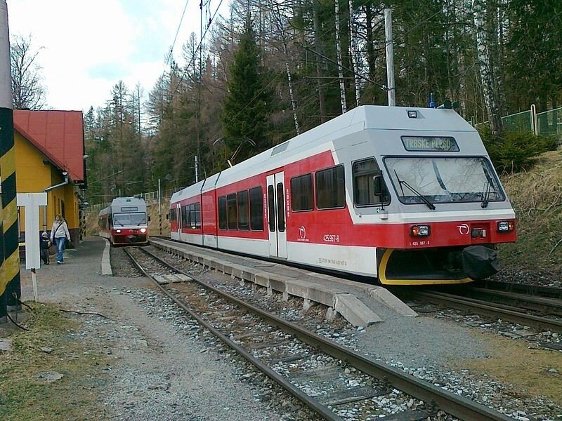 Предоставил Виктор Павлов