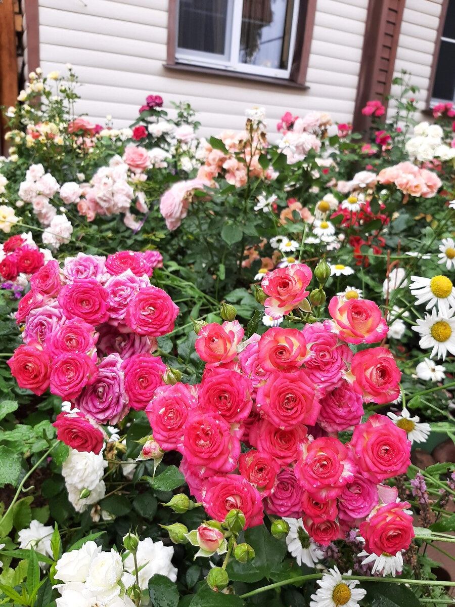 Настройка шторки андроид. Как изменить цвет пуска в 11 винде. Xiaomi miui 12 шторка. Как изменить цвет пуска в 11 винде. Miui 6 шторка.