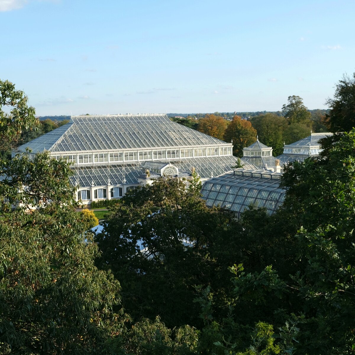Вид на Temperate House