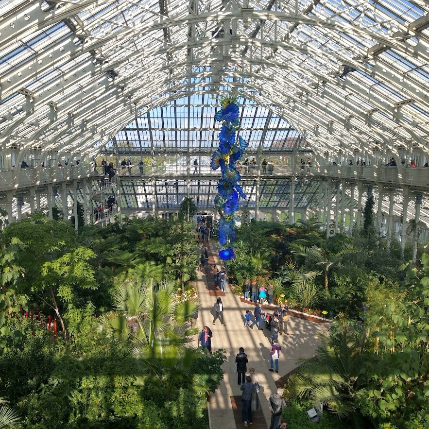 Внутри Temperate House 