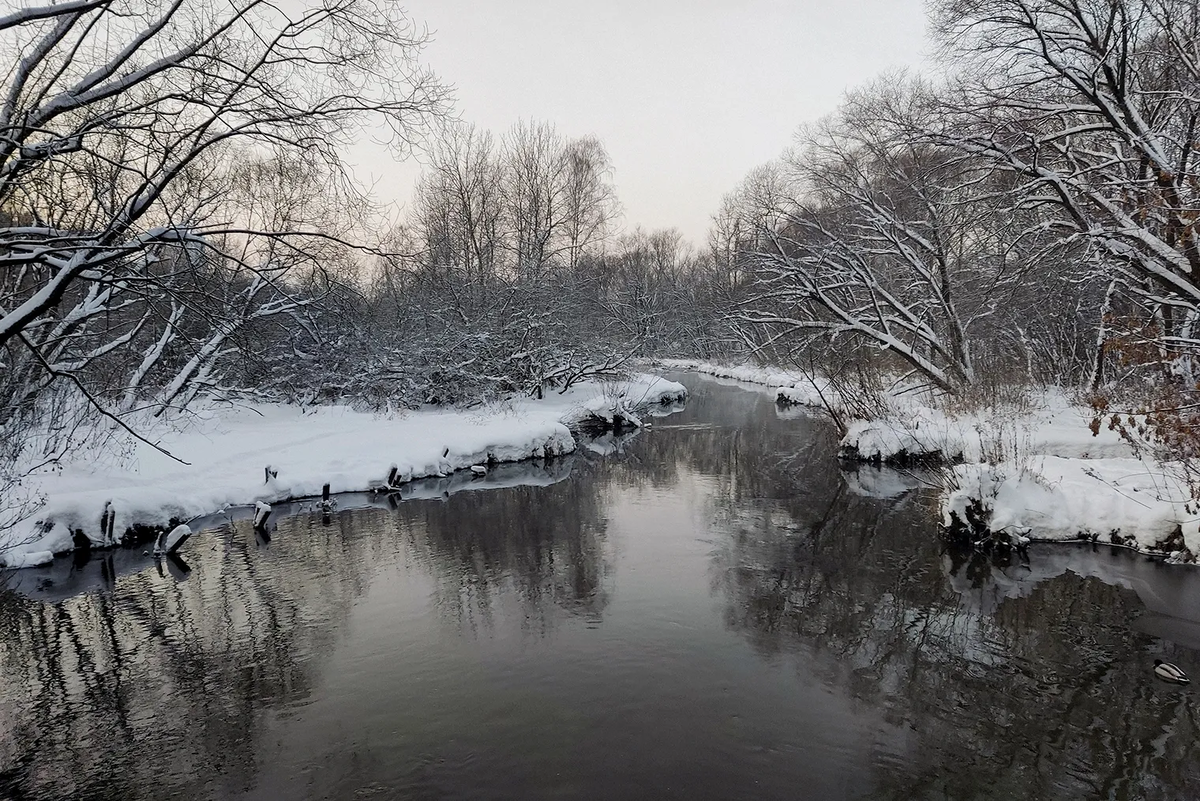 В десяти минутах ходьбы от моего дома есть огромный парк. Там особенно хорошо утром — никого нет. Но и вечером красиво, особенно перед Новым годом
