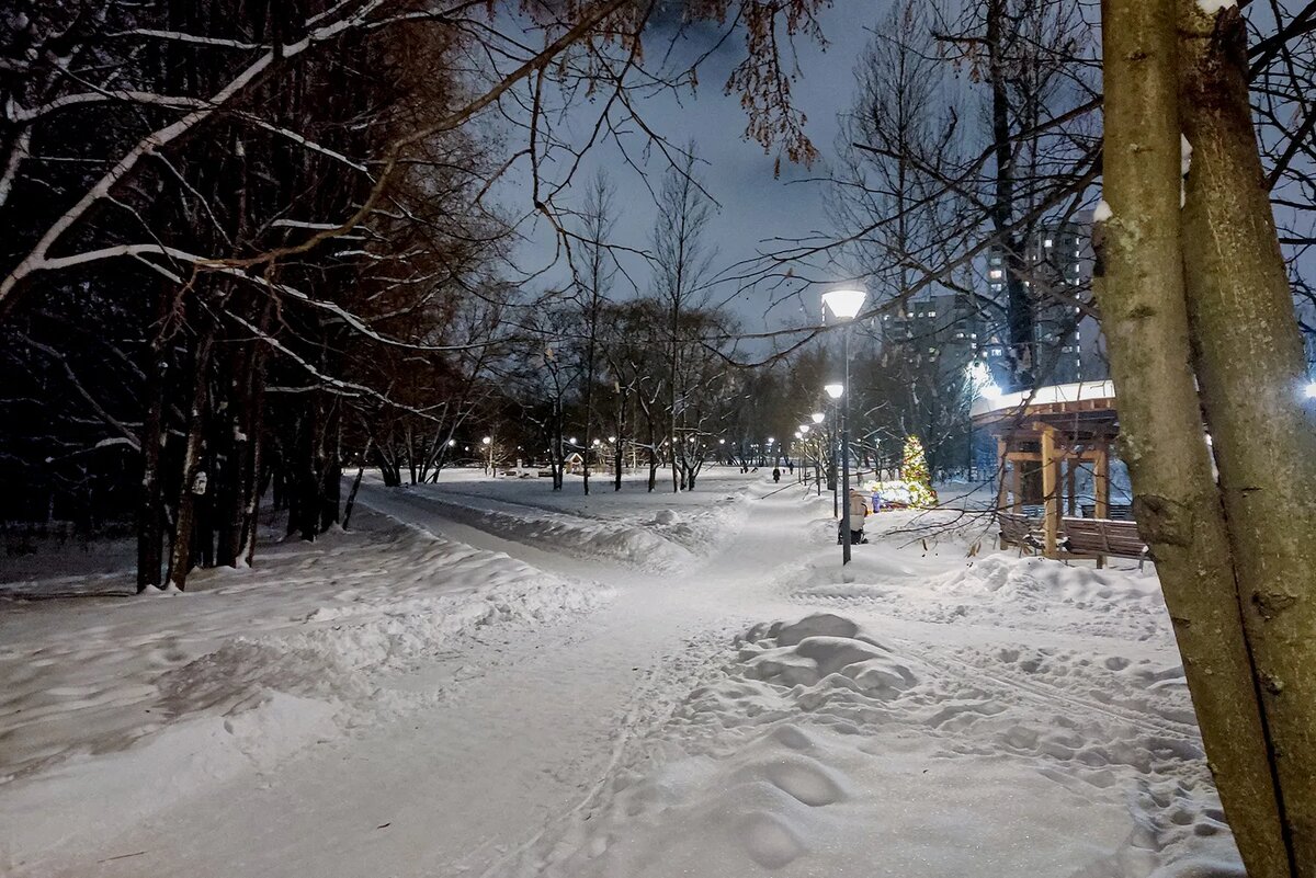 В десяти минутах ходьбы от моего дома есть огромный парк. Там особенно хорошо утром — никого нет. Но и вечером красиво, особенно перед Новым годом
