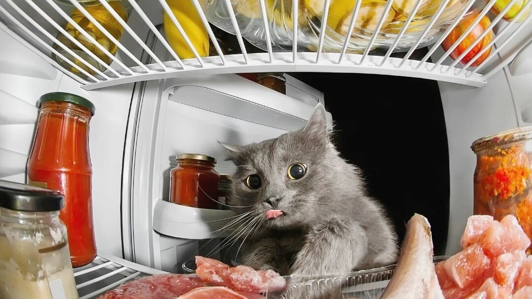 Что-то кушать хочется... 