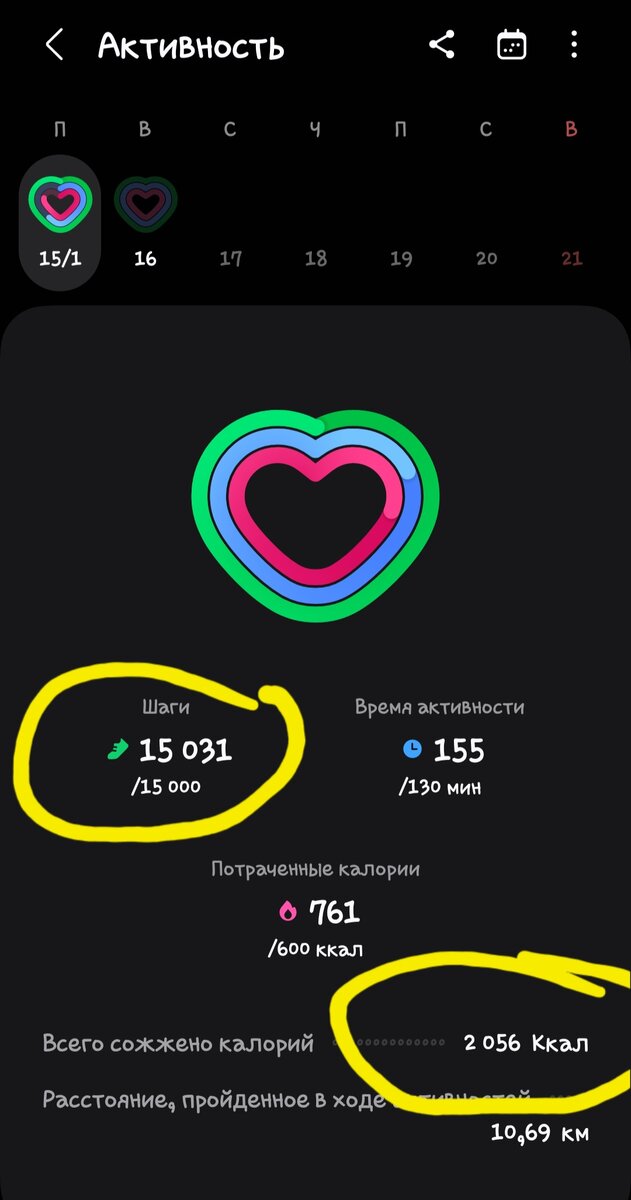 Активность 15 января 