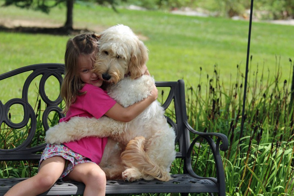 Ребенок не любит животных. Обнимает собаку. Собака друг человека. Ребенок обнимает собаку. Собачки обнимаются.