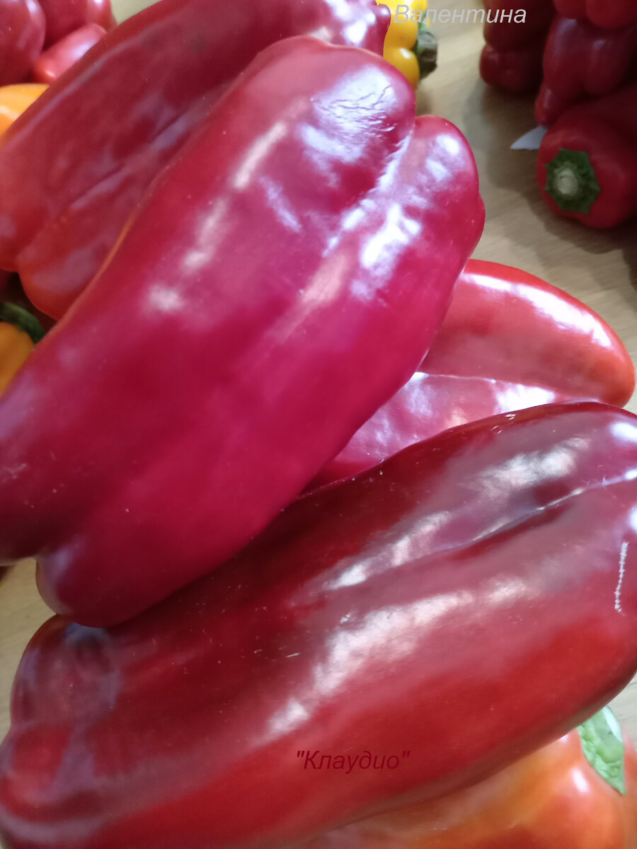 Плоды сорта "Клаудио F-1".