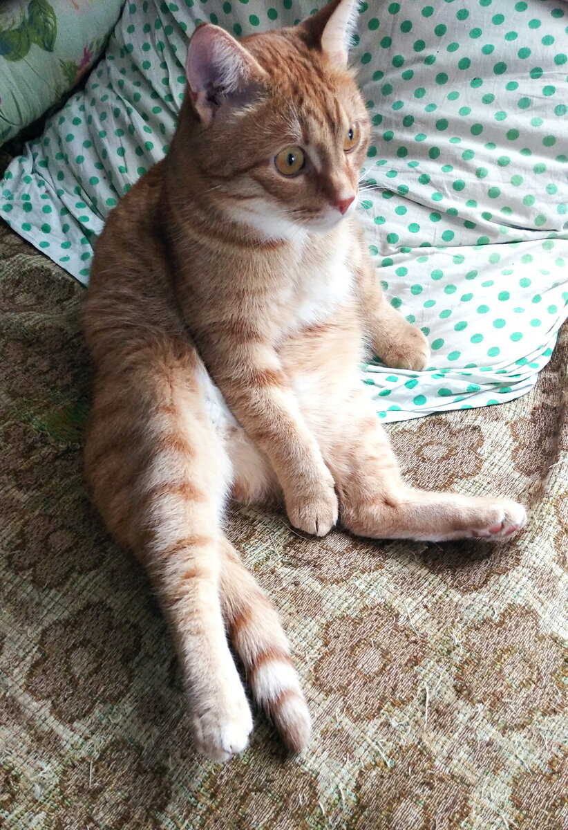 Личное   фото