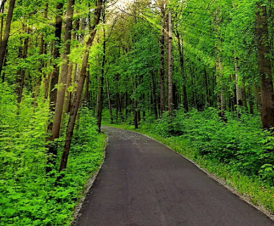 Фото принадлежит автору канала.