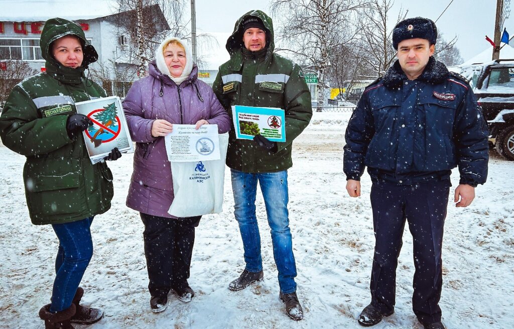 Благодаря «Елочке» елок в Тверской области под Новый год не убавилось