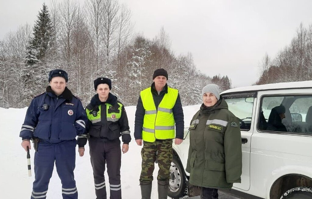 Благодаря «Елочке» елок в Тверской области под Новый год не убавилось