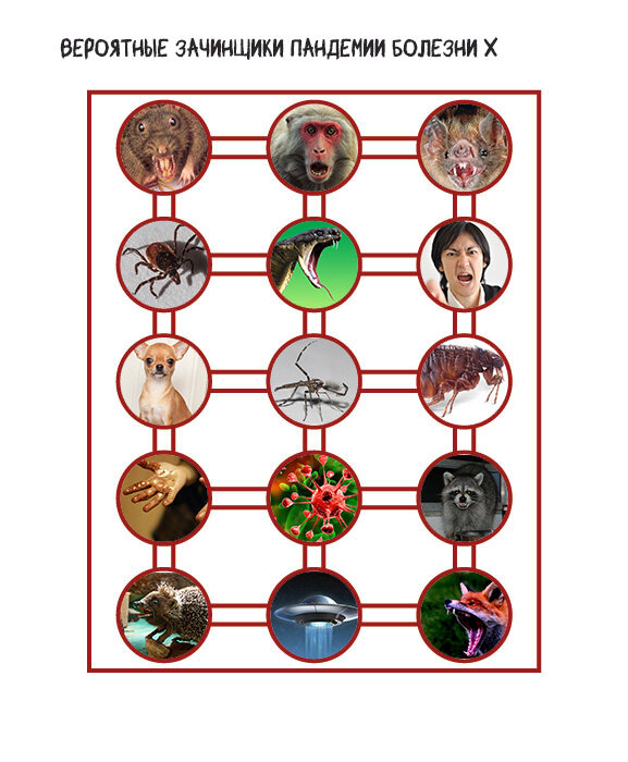 15 главных подозреваемых. 