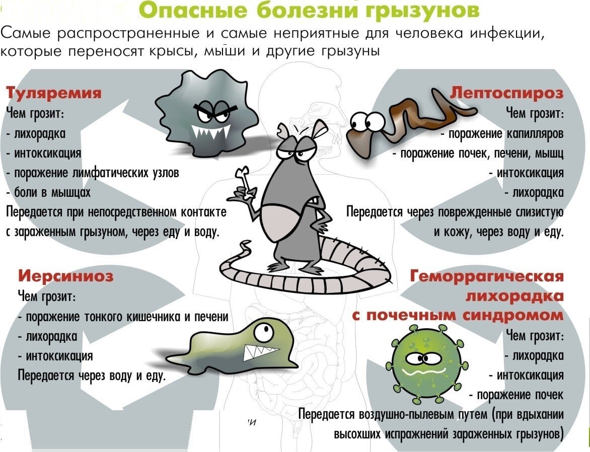 Все серьезно.